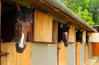 free Brympton Devercy stable construction quotes